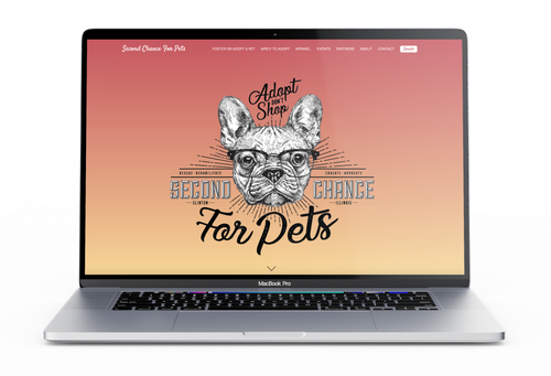 Development and testing process